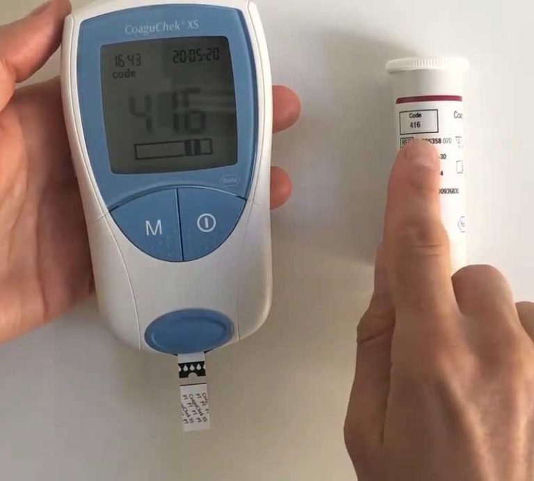 Servicio de apoyo Trimestal